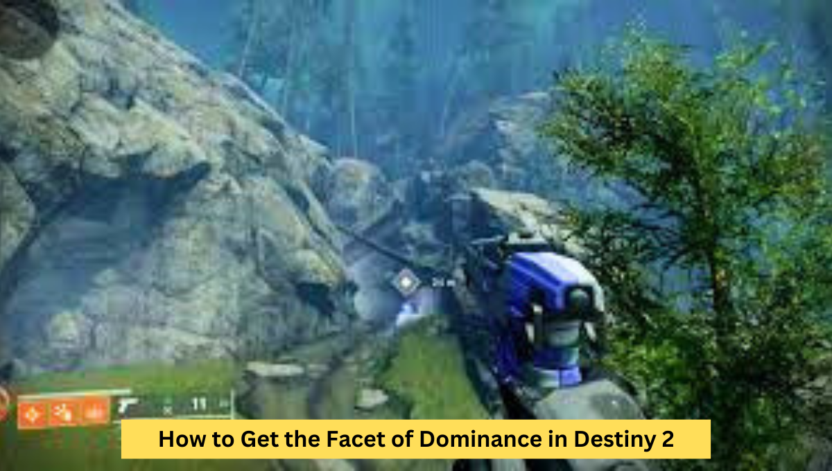 facet of dominance destiny 2